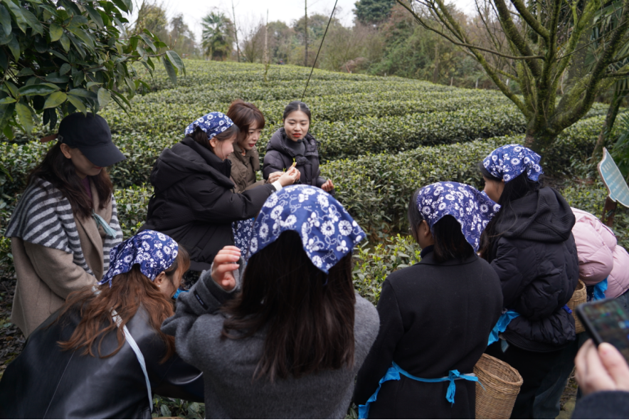 省asiagame集团下属企业组织开展“三八”国际劳动妇女节主题活动